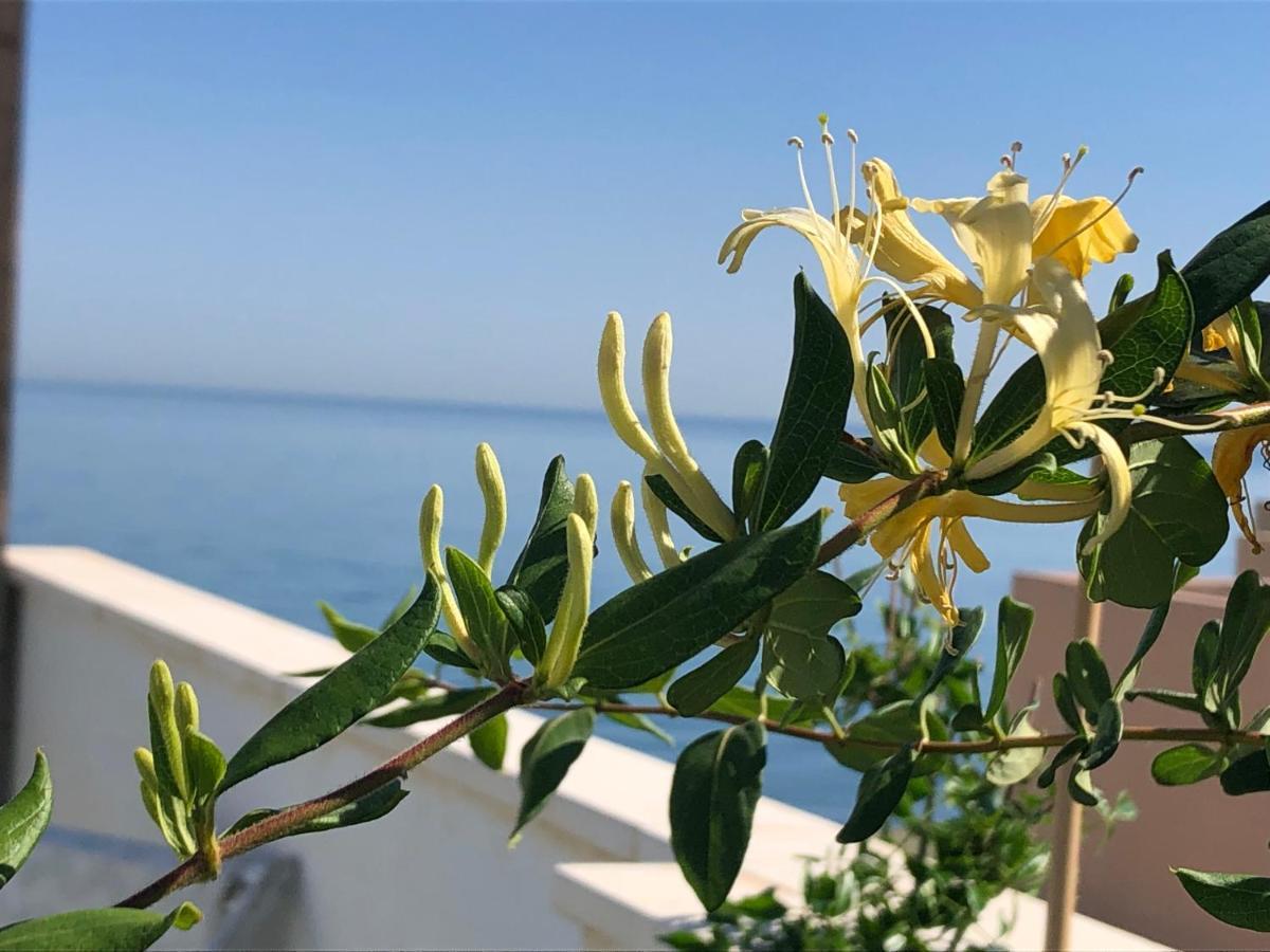 Atico En La Playa Con Terraza Privada Lejlighed La Cala Del Moral Eksteriør billede
